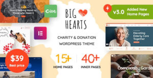 BigHearts Theme – Charity & Donation WordPress Theme 3.1.3