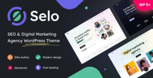 Khám phá Selo Theme – Giải pháp hoàn hảo cho website agency, tối ưu hóa chiến lược SEO và marketing số hiệu quả