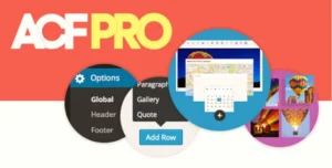 ACF Pro – Tùy chỉnh WordPress mạnh mẽ, nâng cao khả năng quản lý và hiển thị dữ liệu