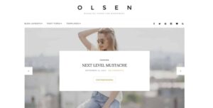 CSS Igniter Olsen Pro WordPress Blogging Theme 2.8.3 | PlugCart